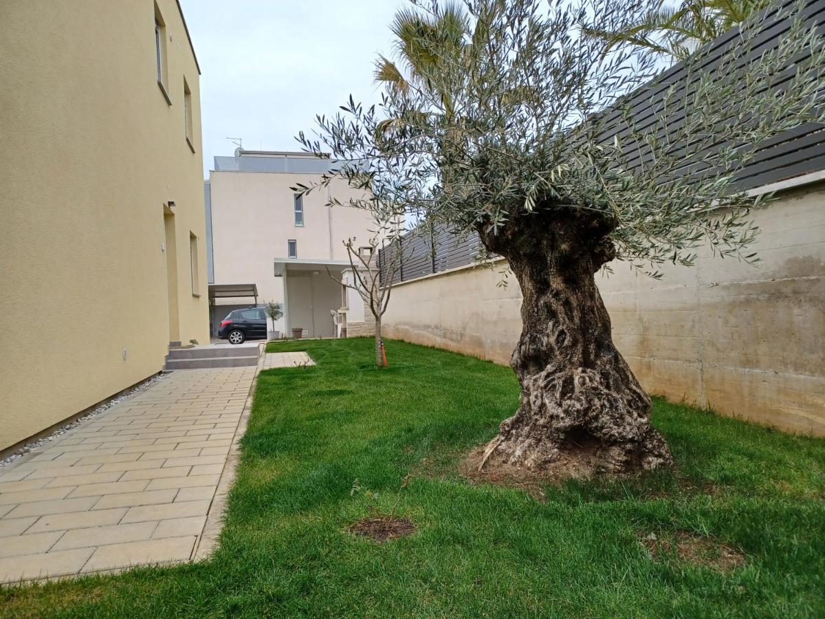 Apartments Leon 2 Novigrad Istria Exterior foto